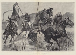 Svinestokning i Marokko